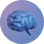 Brain